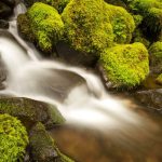 Change Data Capture for Apache Phoenix Stream