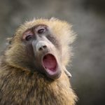 Production-Grade React Project Structure: From Setup to Scale