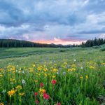 Creating an MCP Server With Spring AI