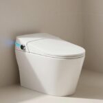 ‘End-to-end encrypted’ smart toilet camera is not actually end-to-end encrypted